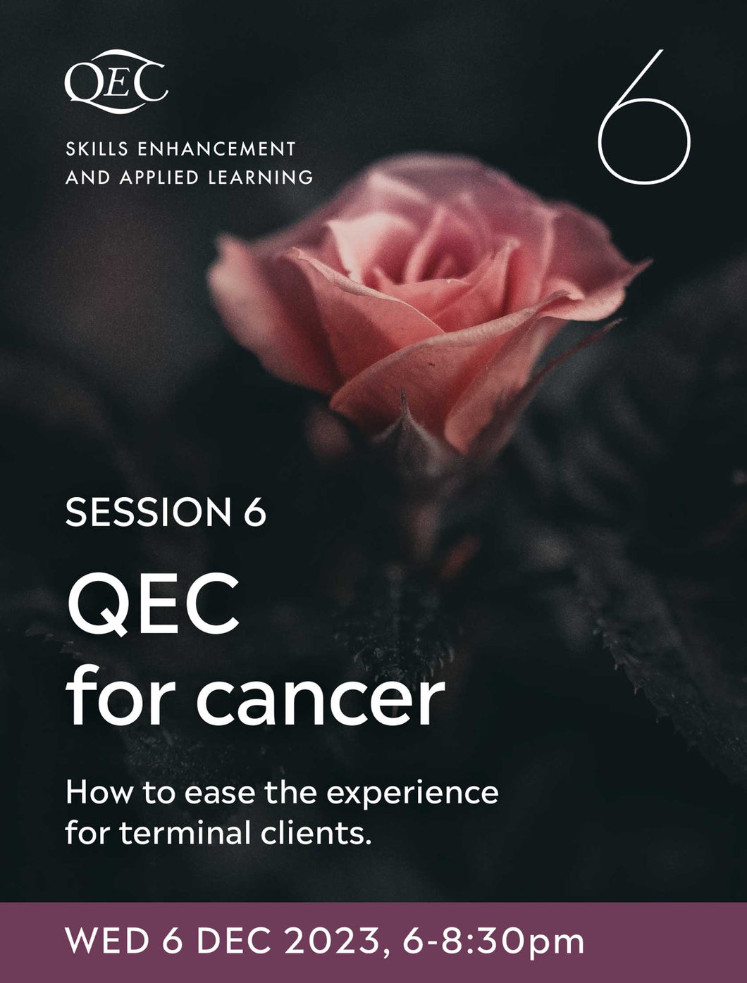 SEAL Session 6: QEC for Cancer - 6 Dec 23 (6-8.30pm, UK time)